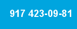 917 423-09-81
